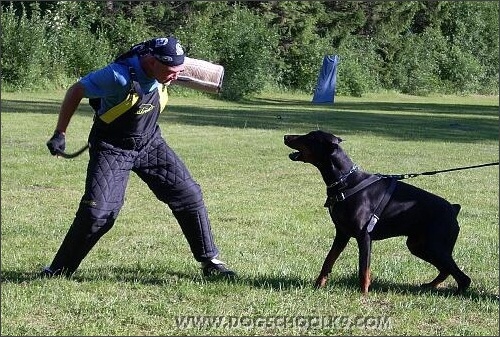 Summer training camp in Estonia 2007